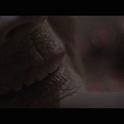 纳粹的情妇 Lída Baarová