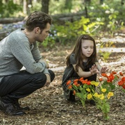 点击查看图片 初代吸血鬼 第四季 The Originals Season 4