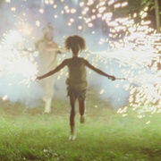 点击查看图片 南国野兽 Beasts of the Southern Wild