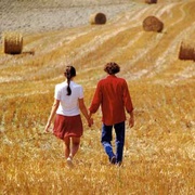 偷香 Stealing Beauty