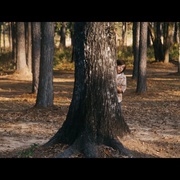 点击查看图片 阿拉巴马的月亮 Alabama Moon