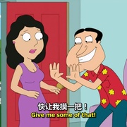 恶搞之家 第十四季 Family Guy Season 14