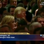 点击查看图片 超正常化 HyperNormalisation