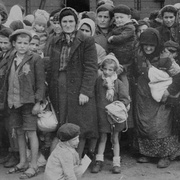 点击查看图片 奥斯威辛:纳粹最后的对策 Auschwitz: The Nazis and the 'Final Solution'