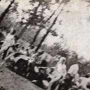 点击查看图片 奥斯威辛:纳粹最后的对策 Auschwitz: The Nazis and the 'Final Solution'