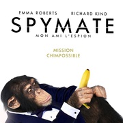 点击查看图片 金刚归来 Spymate