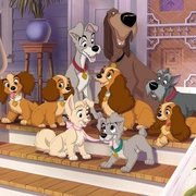 点击查看图片 小姐与流浪汉2:狗儿逃家记 Lady and the Tramp II: Scamp's Adventure