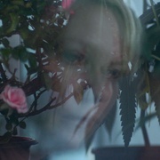 点击查看图片 伍德肖克的偏执 Woodshock