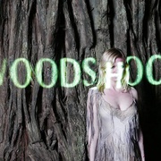 点击查看图片 伍德肖克的偏执 Woodshock