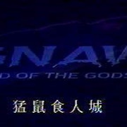 点击查看图片 猛鼠食人城2 Food of the Gods II