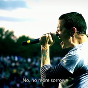 点击查看图片 林肯公园:革命之路 Linkin Park: Road to Revolution (Live at Milton Keynes)