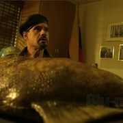 超级食人鱼 Mega Piranha