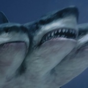 点击查看图片 夺命三头鲨 3 Headed Shark Attack