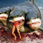 点击查看图片 夺命三头鲨 3 Headed Shark Attack