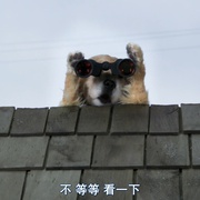 猫狗大战3：爪爪集结！ Cats & Dogs 3: Paws Unite!