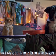 猫狗大战3：爪爪集结！ Cats & Dogs 3: Paws Unite!