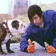 点击查看图片 小尼基 Little Nicky