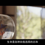 闯入逃离 Breaking & Exiting