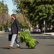 点击查看图片 蕨间访谈:电影版 Between Two Ferns: The Movie