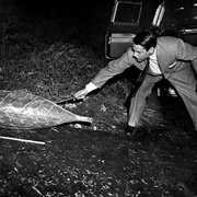 点击查看图片 天外魔花 Invasion of the Body Snatchers