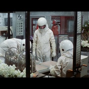 点击查看图片 杀人蜂 The Swarm