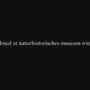 自然史 Natural History