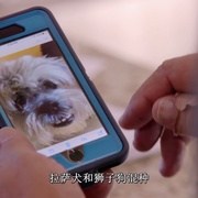 同一汪檐下 Life in the Doghouse