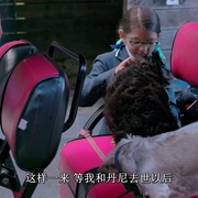 同一汪檐下 Life in the Doghouse