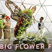 点击查看图片 鲜花大战 The Big Flower Fight