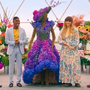 点击查看图片 鲜花大战 The Big Flower Fight