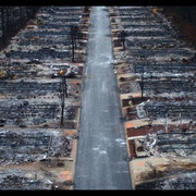 天堂镇大火 Fire in Paradise