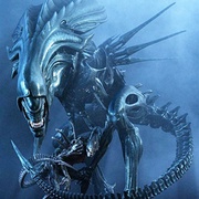 点击查看图片 异形大战铁血战士 AVP: Alien vs. Predator