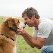 点击查看图片 一条狗的使命 A Dog's Purpose