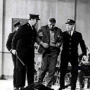 点击查看图片 阿尔卡特兹的养鸟人 Birdman of Alcatraz