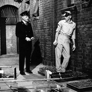 点击查看图片 阿尔卡特兹的养鸟人 Birdman of Alcatraz