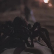 点击查看图片 小魔星 Arachnophobia