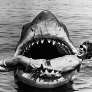 点击查看图片 大白鲨 Jaws