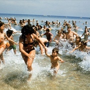 点击查看图片 大白鲨 Jaws