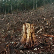 点击查看图片 人类世 Anthropocene: The Human Epoch