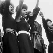 点击查看图片 黑豹党:革命先锋 The Black Panthers: Vanguard of the Revolution