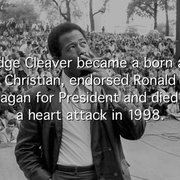 点击查看图片 黑豹党:革命先锋 The Black Panthers: Vanguard of the Revolution