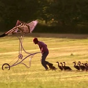 点击查看图片 伴你高飞 Fly Away Home