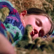 点击查看图片 伴你高飞 Fly Away Home