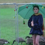 点击查看图片 伴你高飞 Fly Away Home