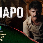 毒枭矮子 第一季 El Chapo Season 1