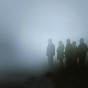 迷雾 The Mist