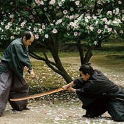点击查看图片 山茶花飘零 散り椿