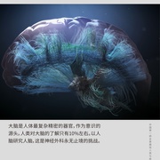 点击查看图片 手术两百年