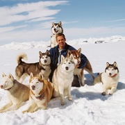 点击查看图片 南极大冒险 Eight Below