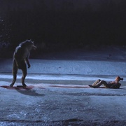 雪谷之狼 The Wolf of Snow Hollow